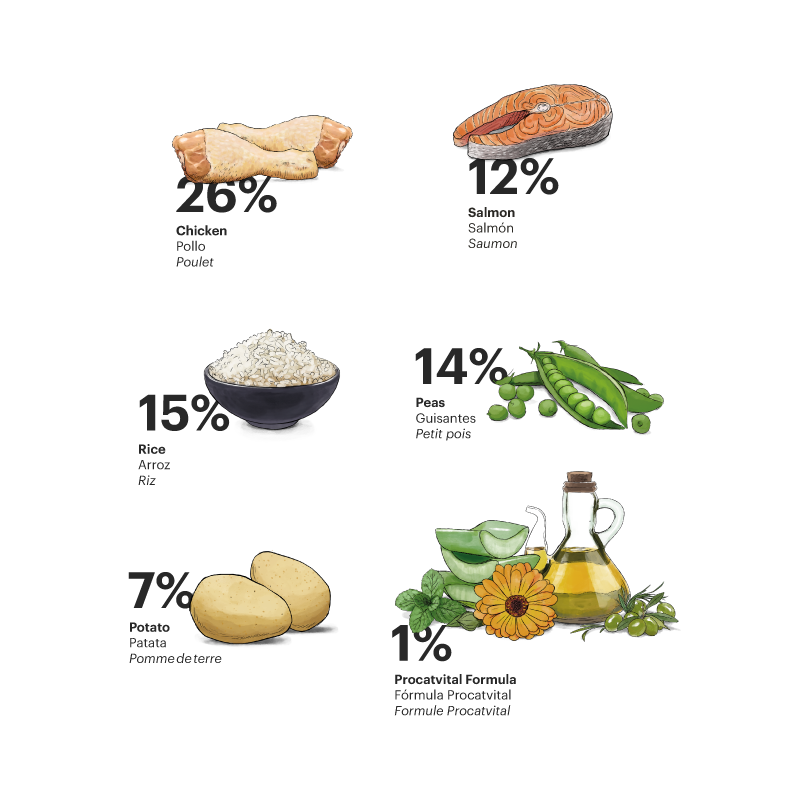 Exclusive Cat Sterilized Chicken with Salmon